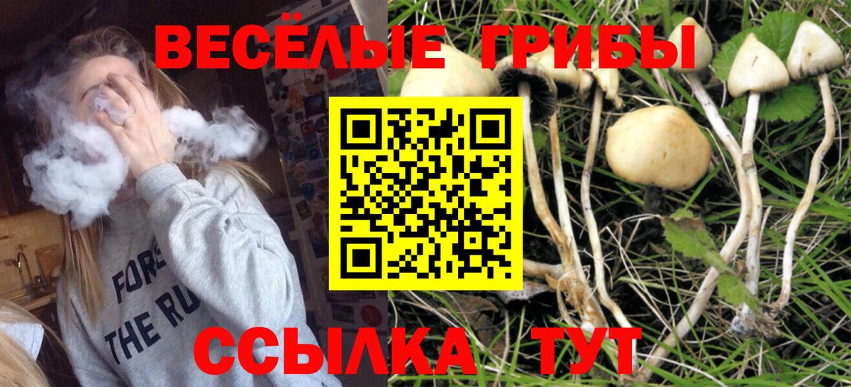 Галлюциногенные грибы мицелий Братск