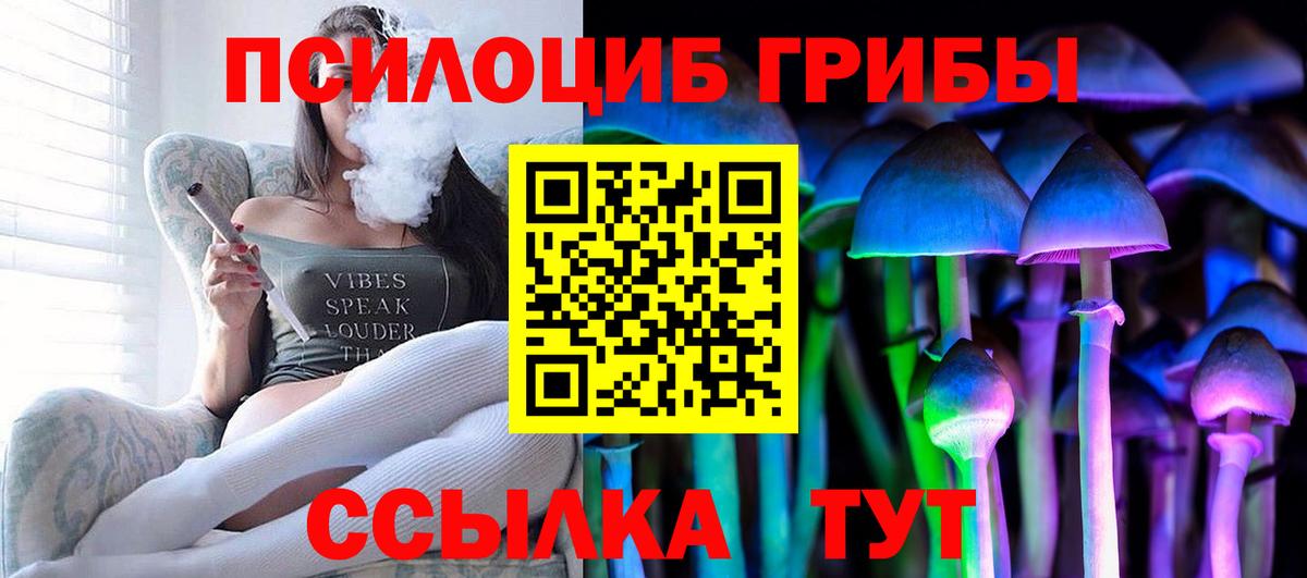 Братск  Псилоцибиновые грибы мухоморы  купить наркоту  Вход с VPN 